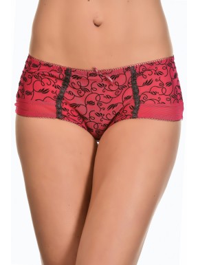 Dynamique-b Bordeaux - Shorty